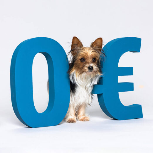 Hundekrankenversicherung 7 1. Bis zu 100% Kostenerstattung