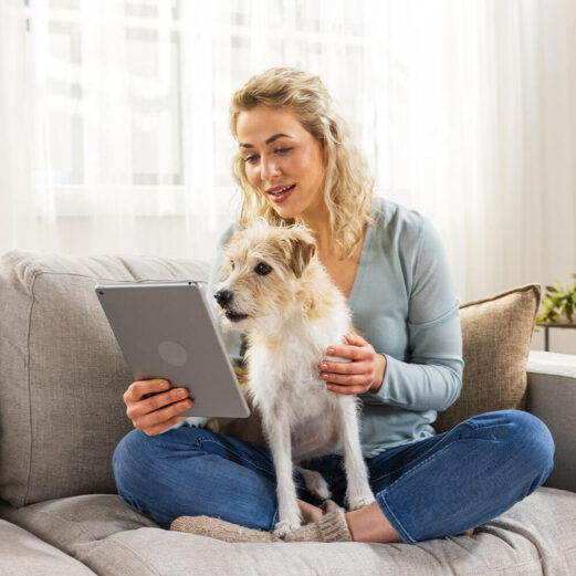 Hundekrankenversicherung 9 3. PETPROTECT und FirstVet – Kostenlose Videosprechstunden via Smartphone