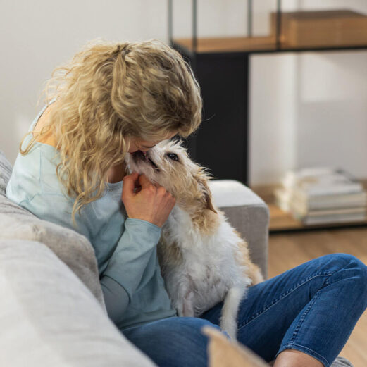 Hundehaftpflichtversicherung 5 Unverzichtbarer Schutz für Hundehalter