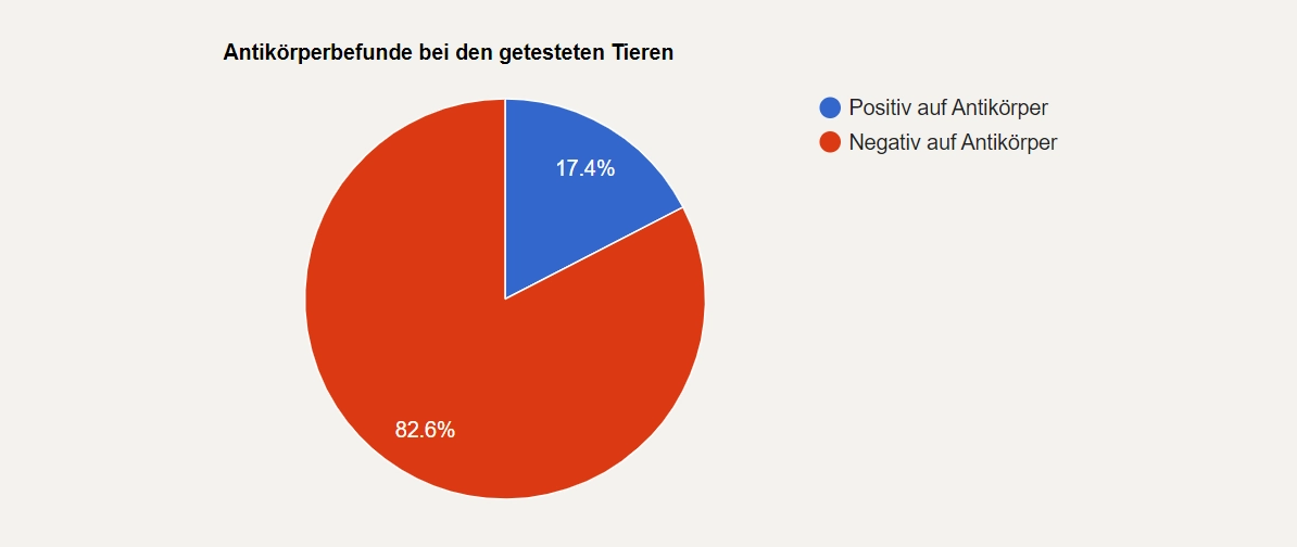 Antikoerperbefunde getestete Tiere