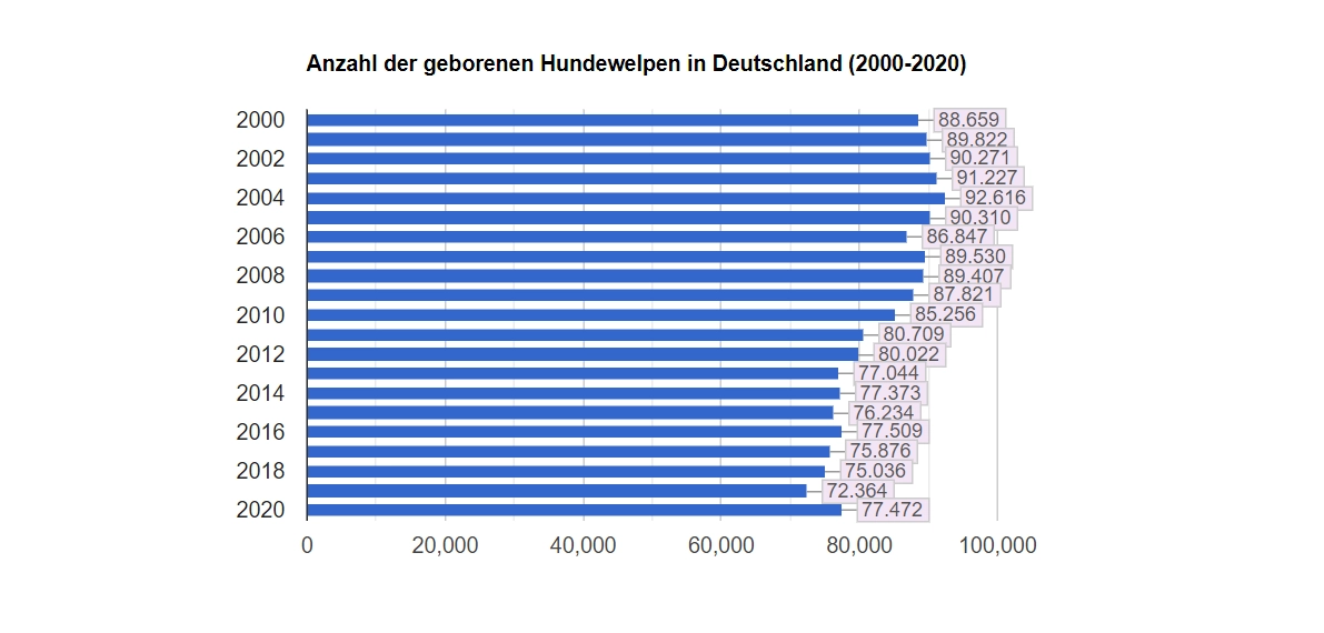 Anzahl Hundegeburten Deutschland 2000 2020