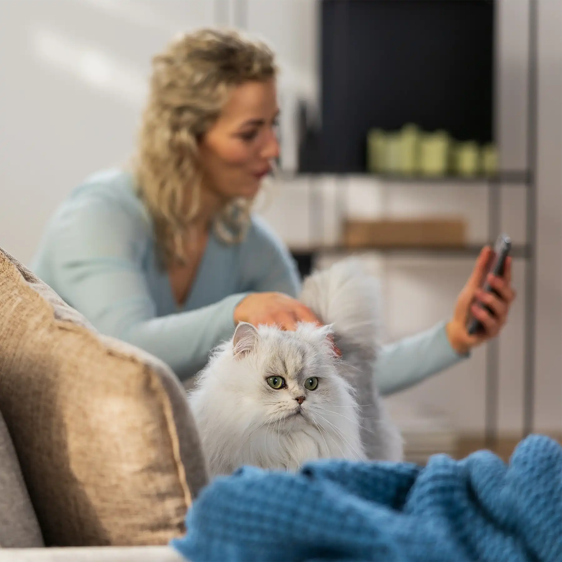 Katzenkrankenversicherung 3 Clever Monatsbeitrag Optimieren