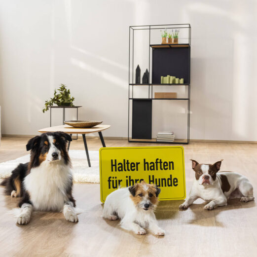 Hundehaftpflichtversicherung 4 In einigen Bundesländern besteht eine Pflicht zur Hundehaftpflichtversicherung