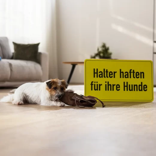 In einigen Bundesländern besteht eine Pflicht zur Hundehaftpflichtversicherung