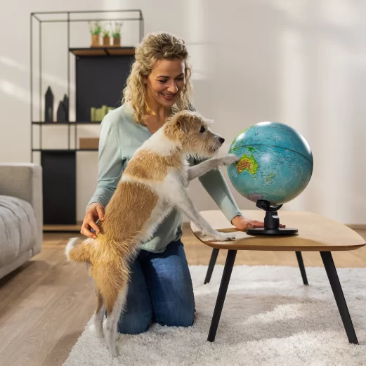 Hunde OP Versicherung 8 4. Auch im Ausland bestens geschützt