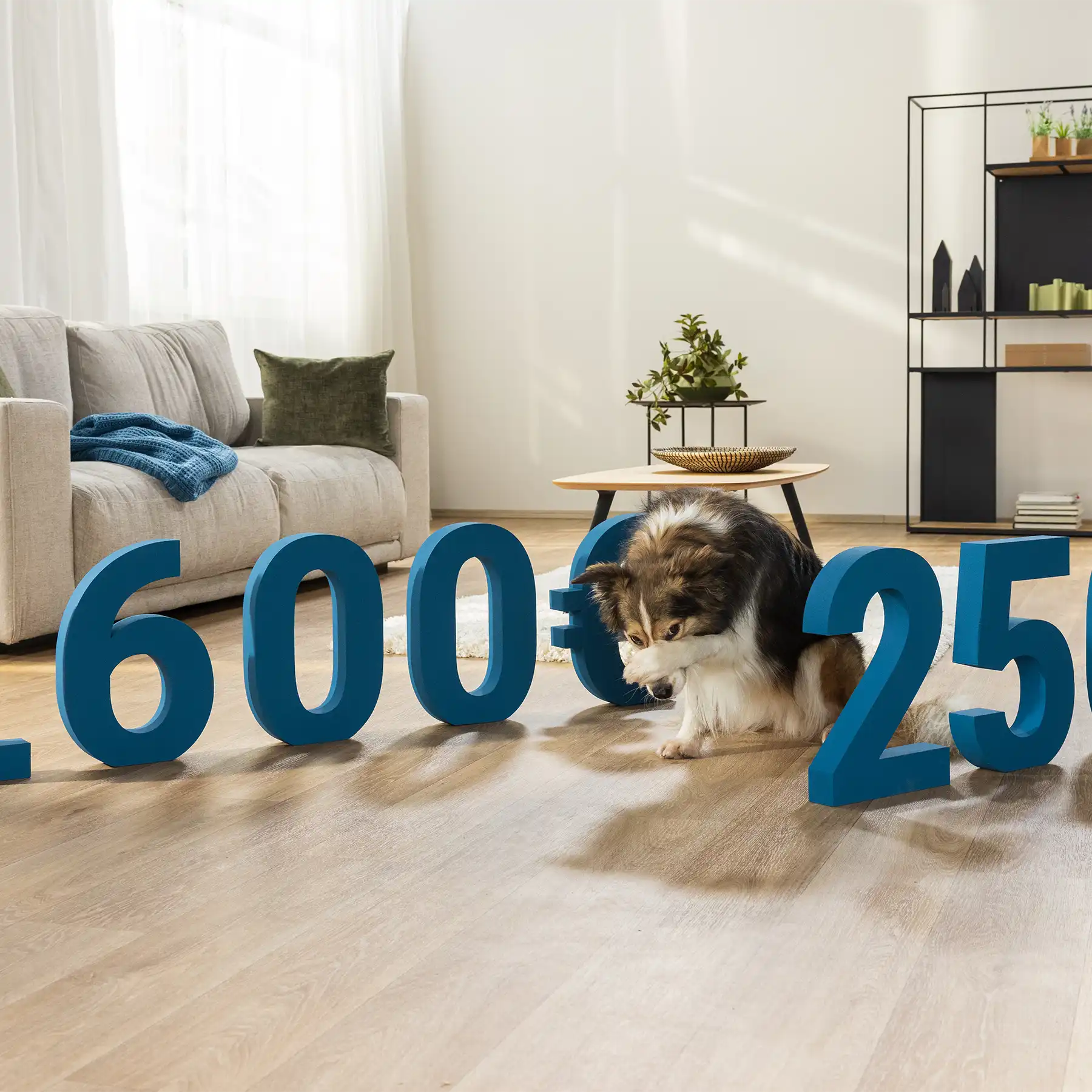 Hunde OP Versicherung 1 Schutz vor hohen OP Kosten