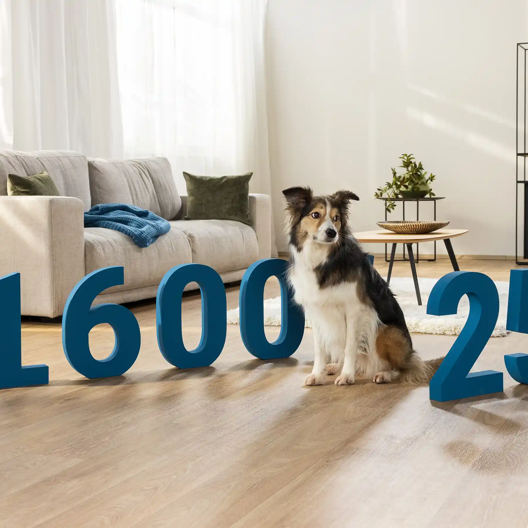 Home 5 Ein Tier kann schnell teuer werden