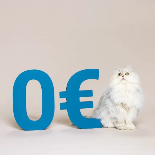 Katzen OP Versicherung 6 2. Bis zu 100% Kostenerstattung