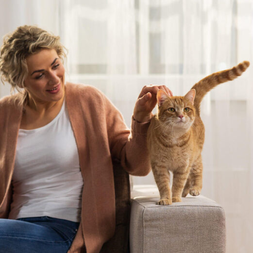 Katzen OP Versicherung 14 8. Flexible Lösung für risikobewusste Tierhalter:innen