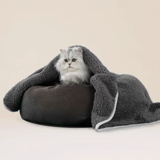 Katzen OP Versicherung 11 7. Kostenübernahme bei Hausbesuchen