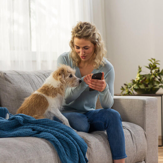 Hundehaftpflichtversicherung 7 Service von PETPROTECT