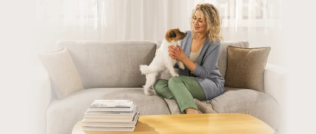 Petprotect Teaser