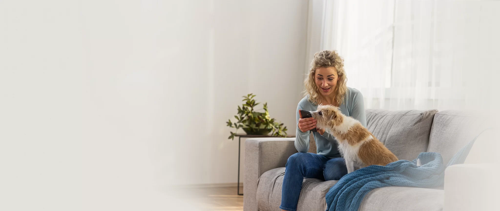Petprotect Teaser