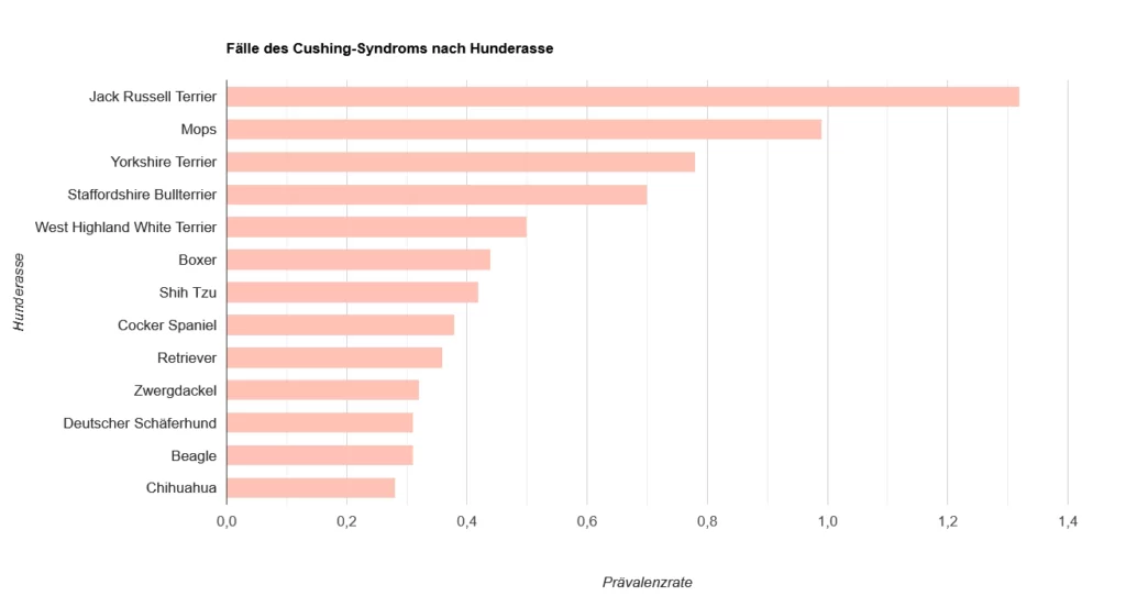 das cushing syndrom bei hunden grafik