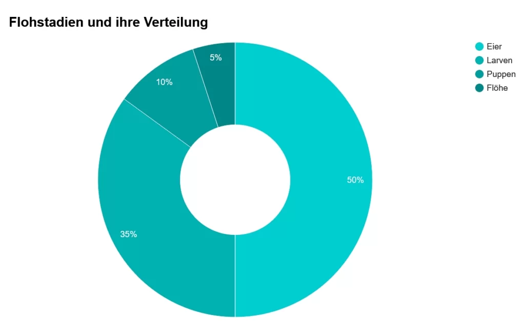 Flöhe bei Hunden und Katzen 2 floehe bei hunden und katzen grafik1