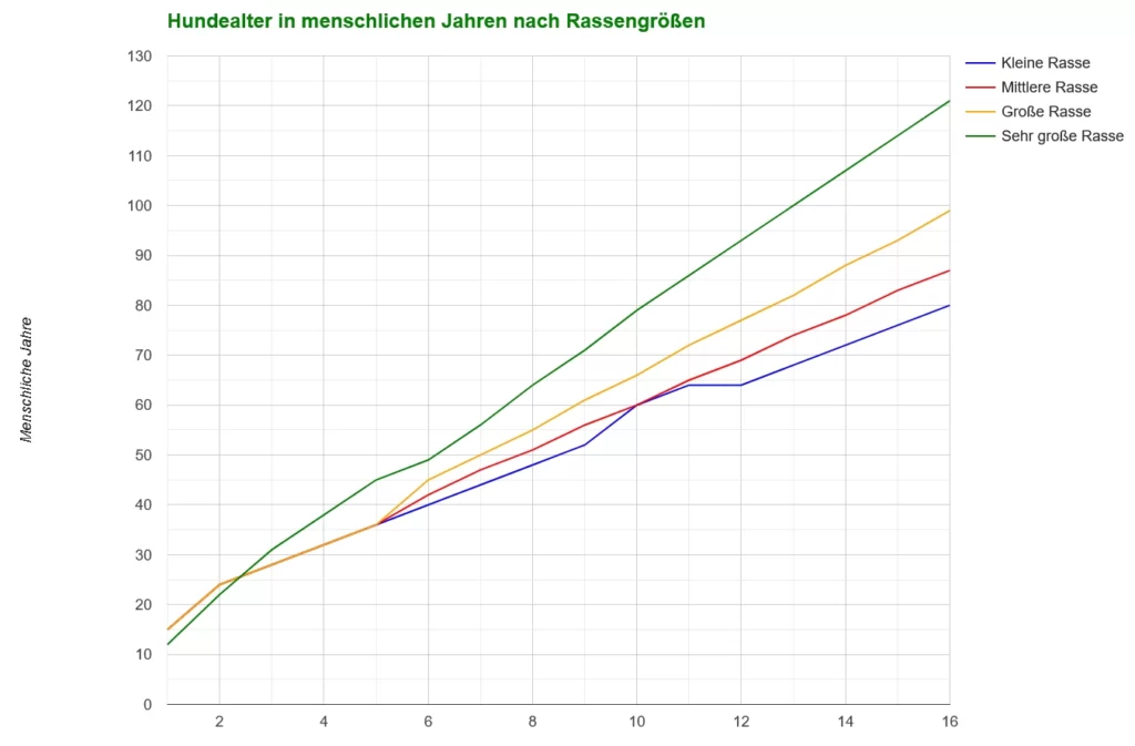 gesundheit im alter die richtige pflege fuer hundesenioren grafik