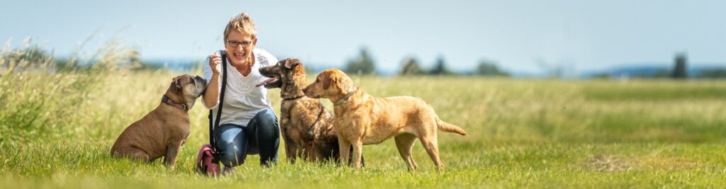 Hundehaftpflicht - Für wen gilt sie? 1 Gilt sie auch für Familienangehörige und Hundesitter?