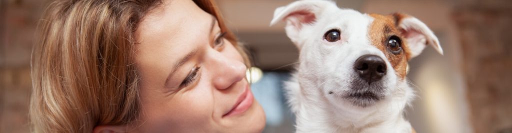 Eine Krankenversicherung für Hunde 1 Lohnt sich das?
