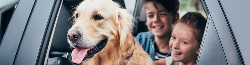 Reisen mit Hund 1 Diese Impfungen benötigen Sie im Ausland