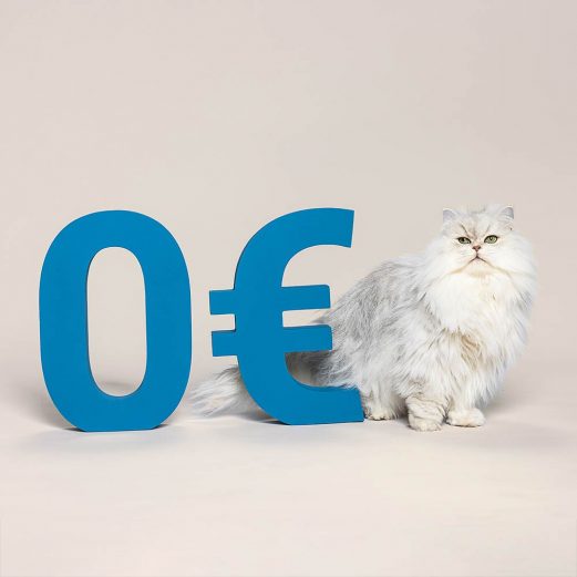 Katzen OP Versicherung 8 2. Bis zu 100% Kostenerstattung