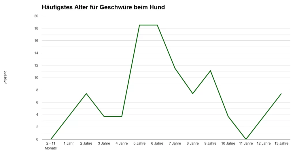 magengeschwuer beim hund grafik