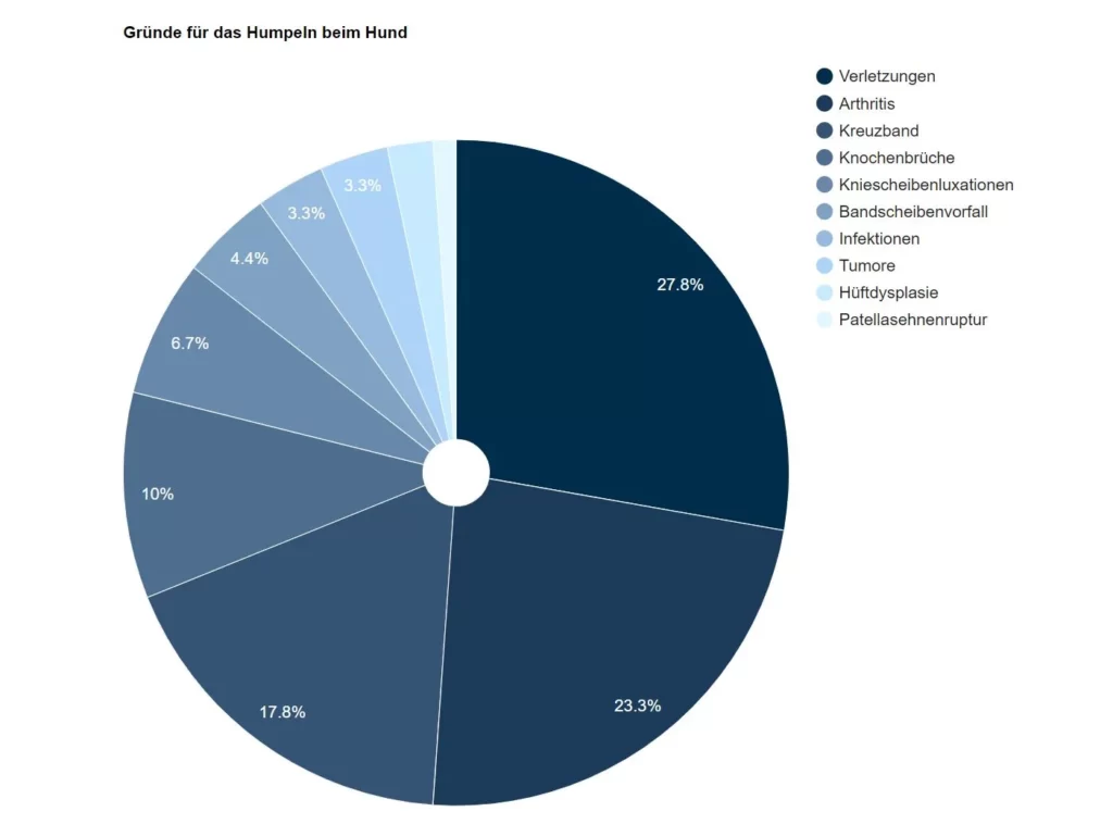 mein hund humpelt ursachen und behandlungsmoeglichkeiten grafik