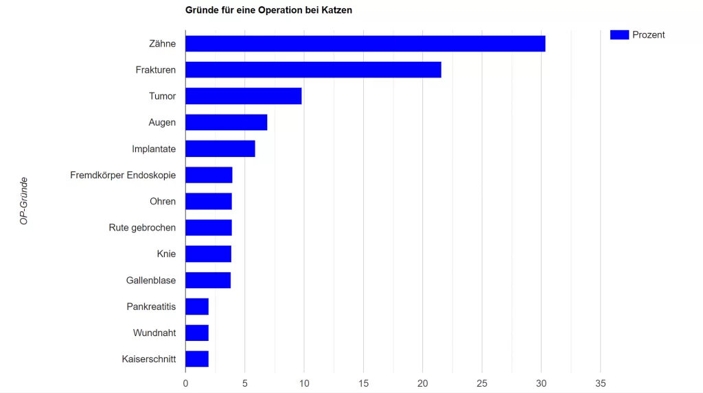 So halten Sie die Ohren Ihrer Katze richtig sauber 2 PETPROTECT Magazin: Grafik zu So halten Sie die Ohren Ihrer Katze richtig sauber