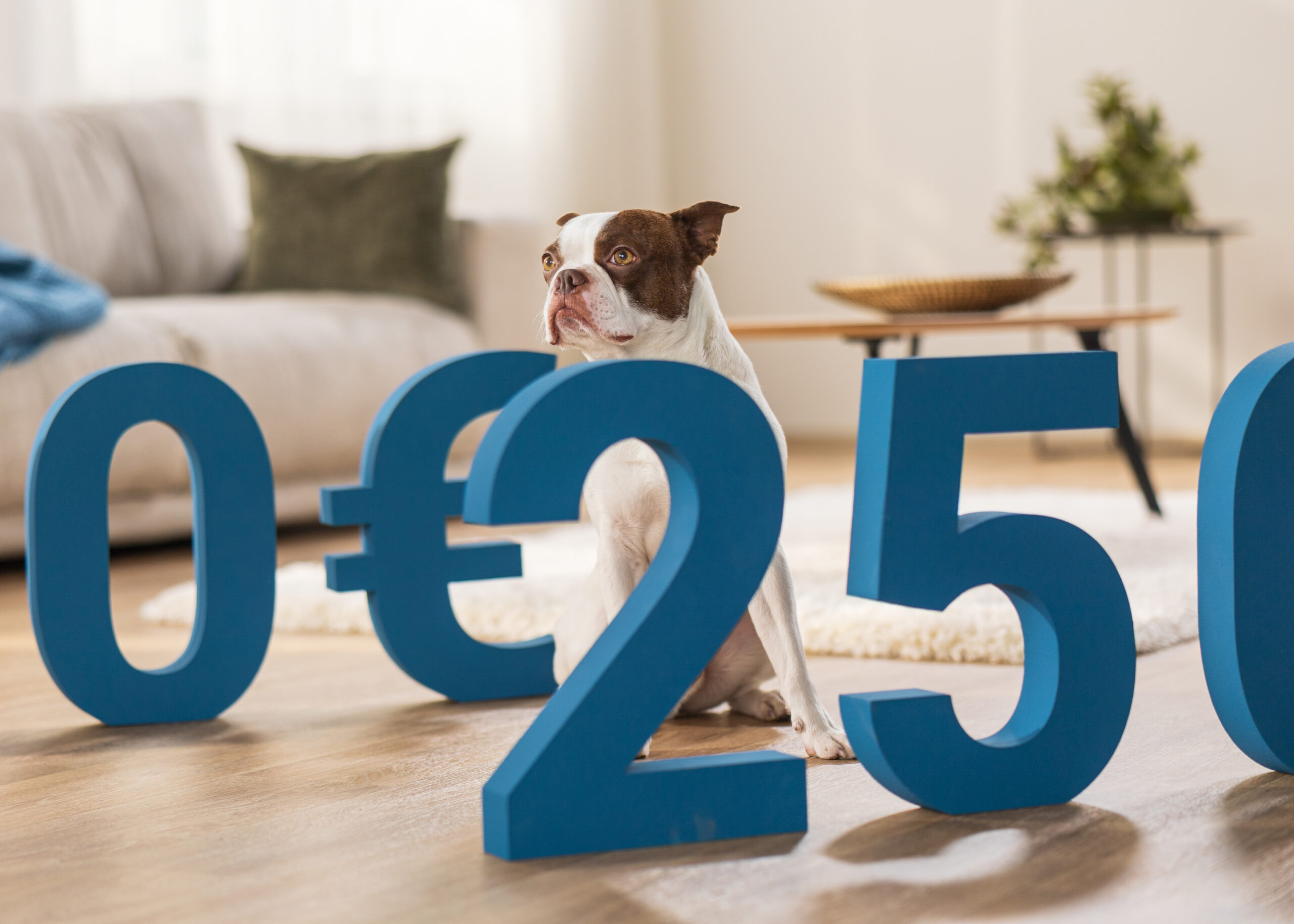 Home 9 Ein Tier kann schnell teuer werden