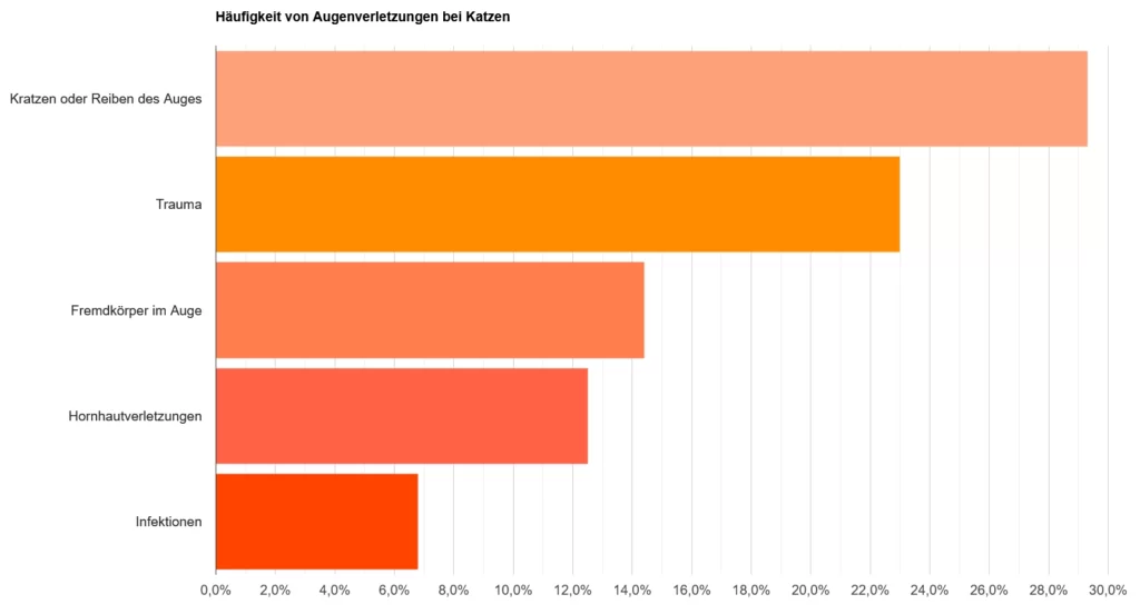 Verletzungen am Katzenauge - Wann muss ich zum Tierarzt? 3 verletzungen am katzenauge wann muss ich zum tierarzt grafik2